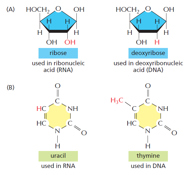 Figure 6-5.png